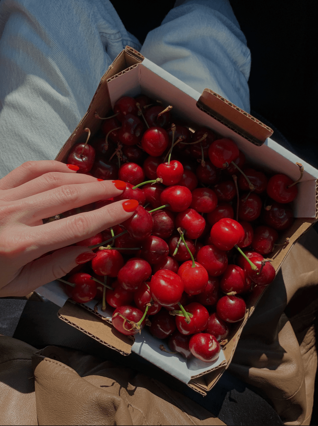 Cover Image for forbidden fruit: exploring the forbidden fruit strain